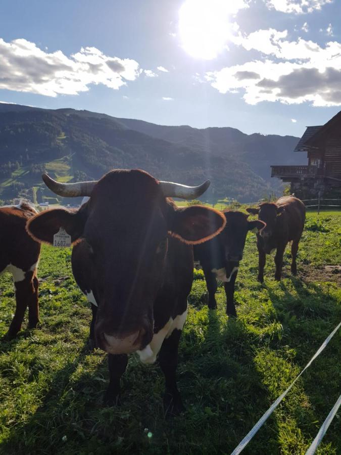 Huettenferien Koeberlhof Sankt Georgen ob Murau Εξωτερικό φωτογραφία